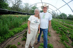 Boggy Creek Farm
